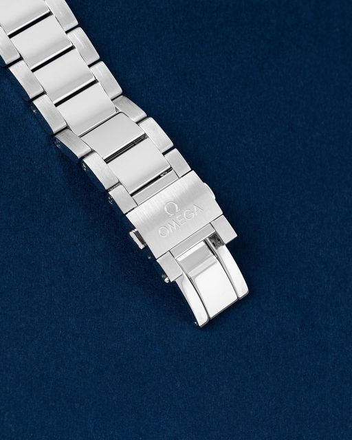 Omega Aqua Terra 150m Gents 220.10.41.21.03.002 Image 3